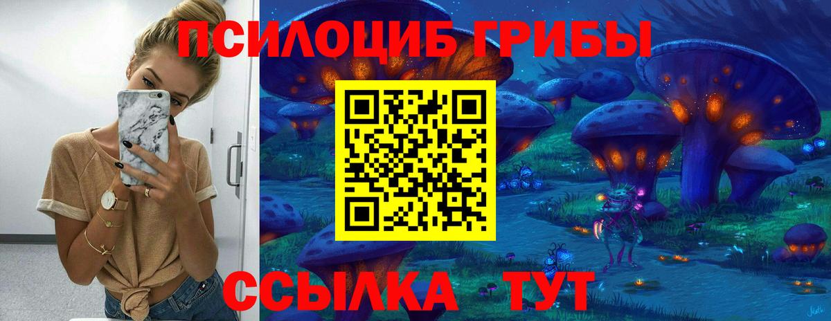 Верхняя Салда  продажа наркотиков  Вход с VPN  Псилоцибиновые грибы мицелий 